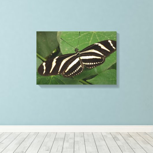 Zebra Longwing Vlinder Canvas Print (Insitu (Houten vloer))