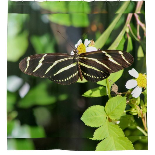 Zebra Longwing Vlinder Douchegordijn (Voorkant)