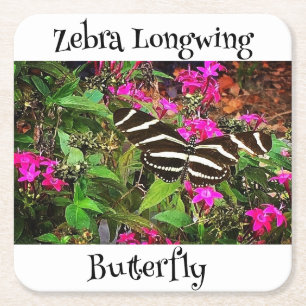 Zebra Longwing Vlinder Kartonnen Onderzetters