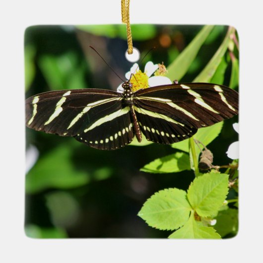 Zebra Longwing Vlinder Keramisch Ornament (Voorkant)