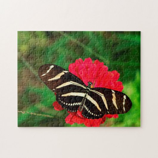 Zebra Longwing Vlinder. Legpuzzel (Horizontaal)
