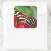 Zebra Longwing Vlinder Natuur Foto Vierkante Sticker (Tas)