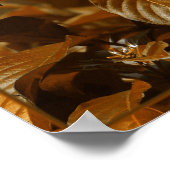 Zebra longwing vlinder op bloem poster (Hoek)