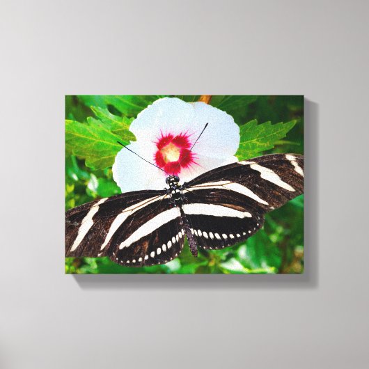 Zebra longwing vlinder op een Hibiscus Red Heart Canvas Afdruk (Voorkant)