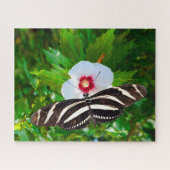 Zebra longwing vlinder op een Hibiscus Red Heart Legpuzzel (Horizontaal)