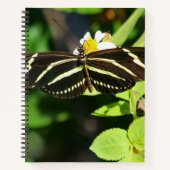 Zebra Longwing Vlinder Spiraal Notebook Notitieboek (Voorkant)