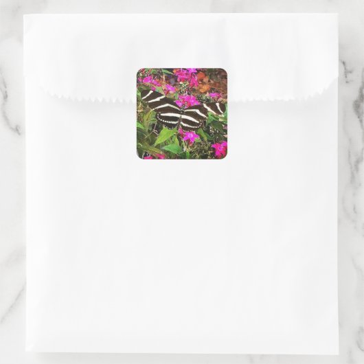 Zebra Longwing Vlinder Vierkante Sticker (Tas)