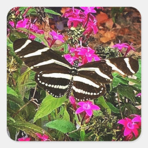 Zebra Longwing Vlinder Vierkante Sticker