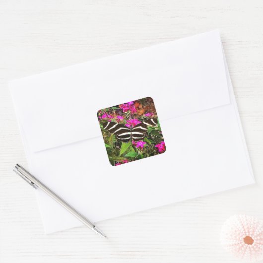 Zebra Longwing Vlinder Vierkante Sticker (Envelop)