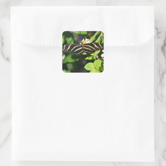 Zebra Longwing Vlinder Vierkante Sticker (Tas)