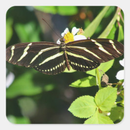Zebra Longwing Vlinder Vierkante Sticker