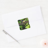 Zebra Longwing Vlinder Vierkante Sticker (Envelop)