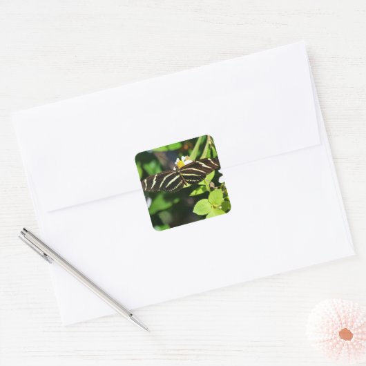 Zebra Longwing Vlinder Vierkante Sticker (Envelop)
