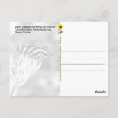 Zebra Longwing Vlinders, FL – ansichtkaart Briefkaart (Achterkant)