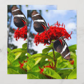 Zebra longwing vlinders op rode bloemen feestdagenkaart (Voorkant / Achterkant)