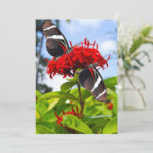 Zebra longwing vlinders op rode bloemen feestdagenkaart (Staand voorkant)
