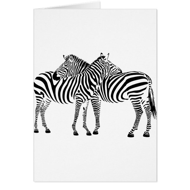 Zebra Love (Voorkant)