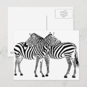 Zebra Love Briefkaart (Voorkant / Achterkant)