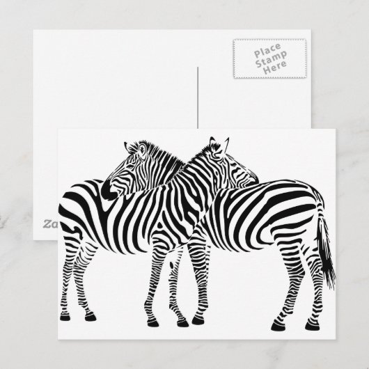 Zebra Love Briefkaart (Voorkant / Achterkant)