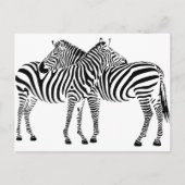 Zebra Love Briefkaart (Voorkant)