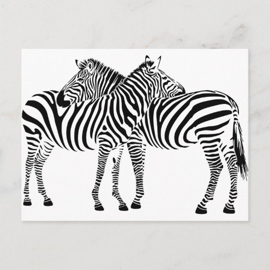 Zebra Love Briefkaart (Voorkant)