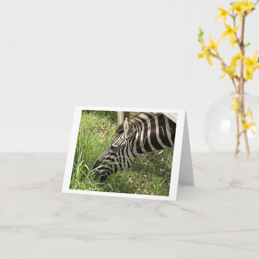 Zebra Love Get Well Folded Kaart (Gele Bloem)