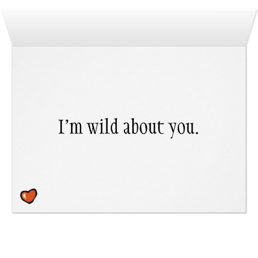 Zebra Love Kaart (Binenzijde Horizontaal (Onderkant))