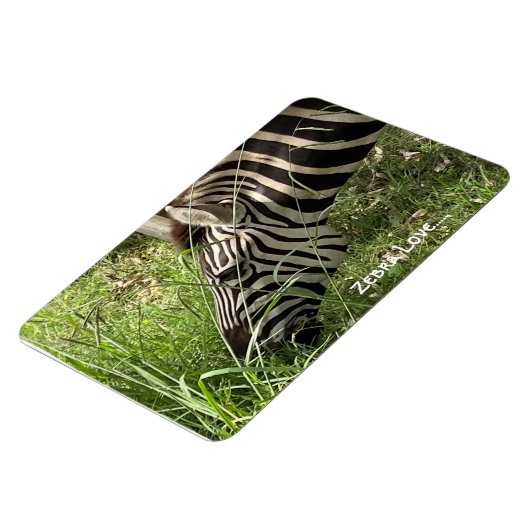 Zebra Love...Magnet Magneet (Linkerzijde)