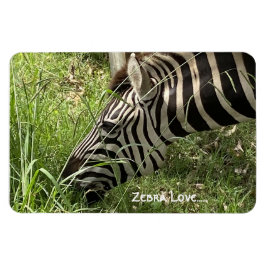 Zebra Love...Magnet Magneet