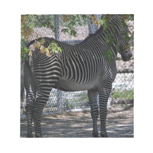 Zebra Love Notitieblok (Voorkant)
