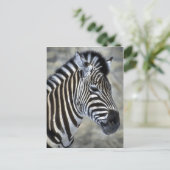 Zebra Lovers Art Gifts Briefkaart (Staand voorkant)