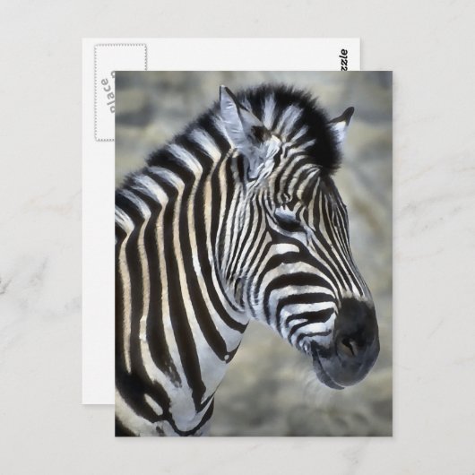 Zebra Lovers Art Gifts Briefkaart (Voorkant / Achterkant)