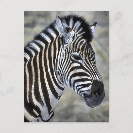 Zebra Lovers Art Gifts Briefkaart (Voorkant)