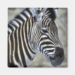Zebra Lovers Art Gifts Magneet