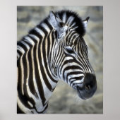 Zebra Lovers Art Gifts Poster (Voorkant)