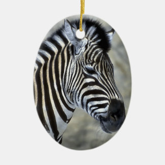 Zebra Lovers Art kerstversiering Keramisch Ornament