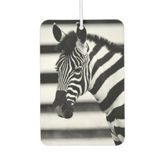 Zebra Luchtverfrisser