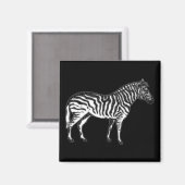 Zebra Magneet (Voorkant / Achterkant)
