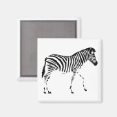 Zebra Magneet (Voorkant / Achterkant)