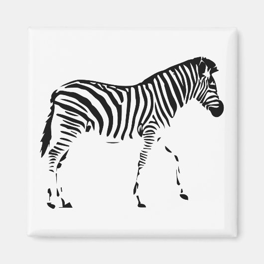 Zebra Magneet (Voorkant)