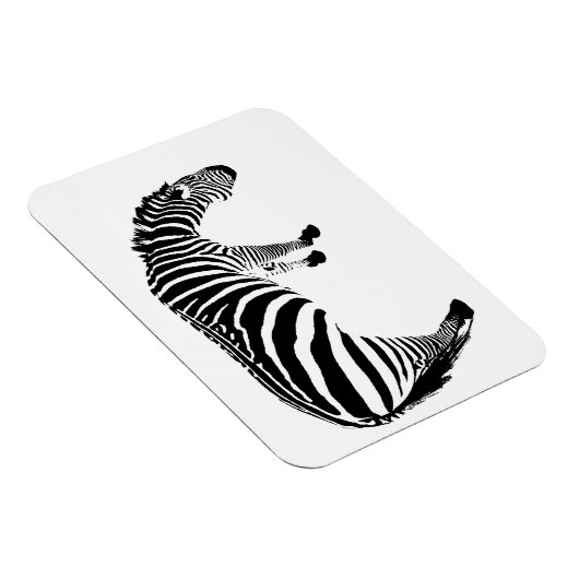 zebra magneet (Rechterzijde)