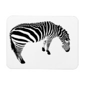 zebra magneet (Horizontaal)