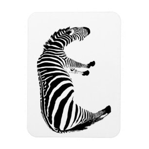 zebra magneet