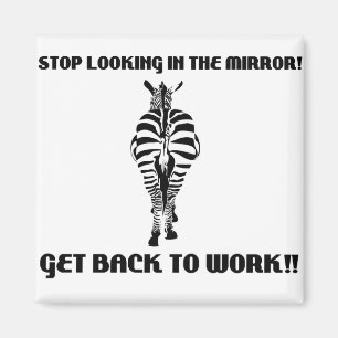 zebra magneet