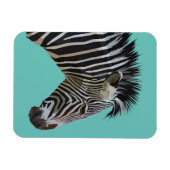 ZEBRA MAGNET MAGNEET (Horizontaal)