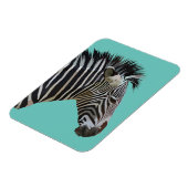 ZEBRA MAGNET MAGNEET (Linkerzijde)
