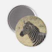 zebra mane magneet (Voorkant / Achterkant)