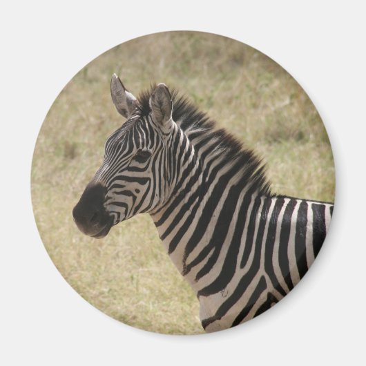 zebra mane magneet (Voorkant)