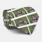 Zebra Mannen Necktie Stropdas (Opgerold)