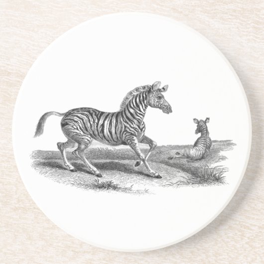 Zebra Mare Foal  Animal Art Onderzetter (Voorkant)